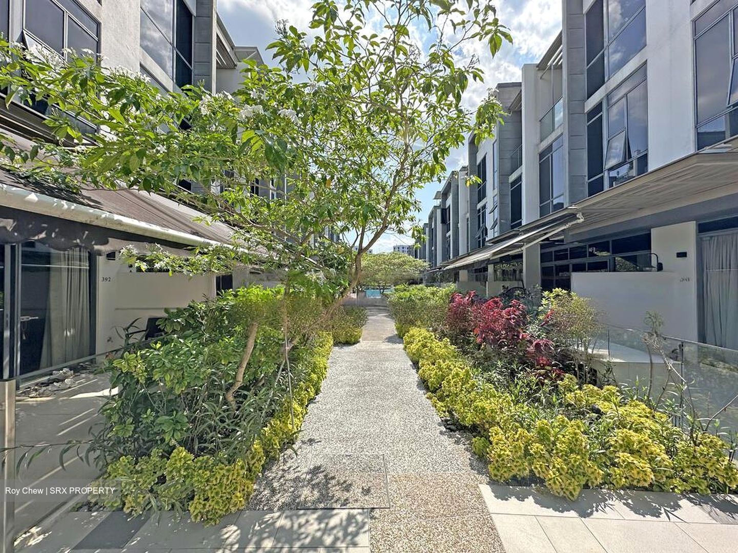 Belgravia Villas (D28), Terrace #481731011